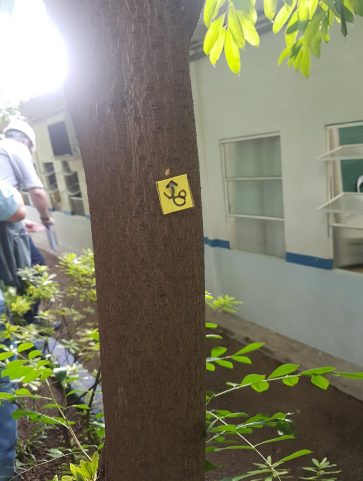 Não identificado