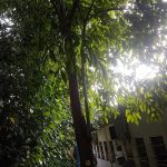 Não identificado